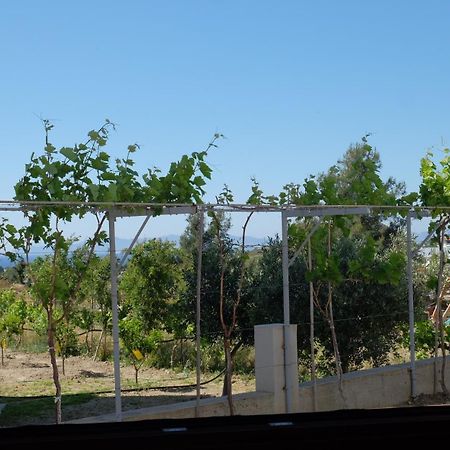 Garden House Daire Kremastí Dış mekan fotoğraf