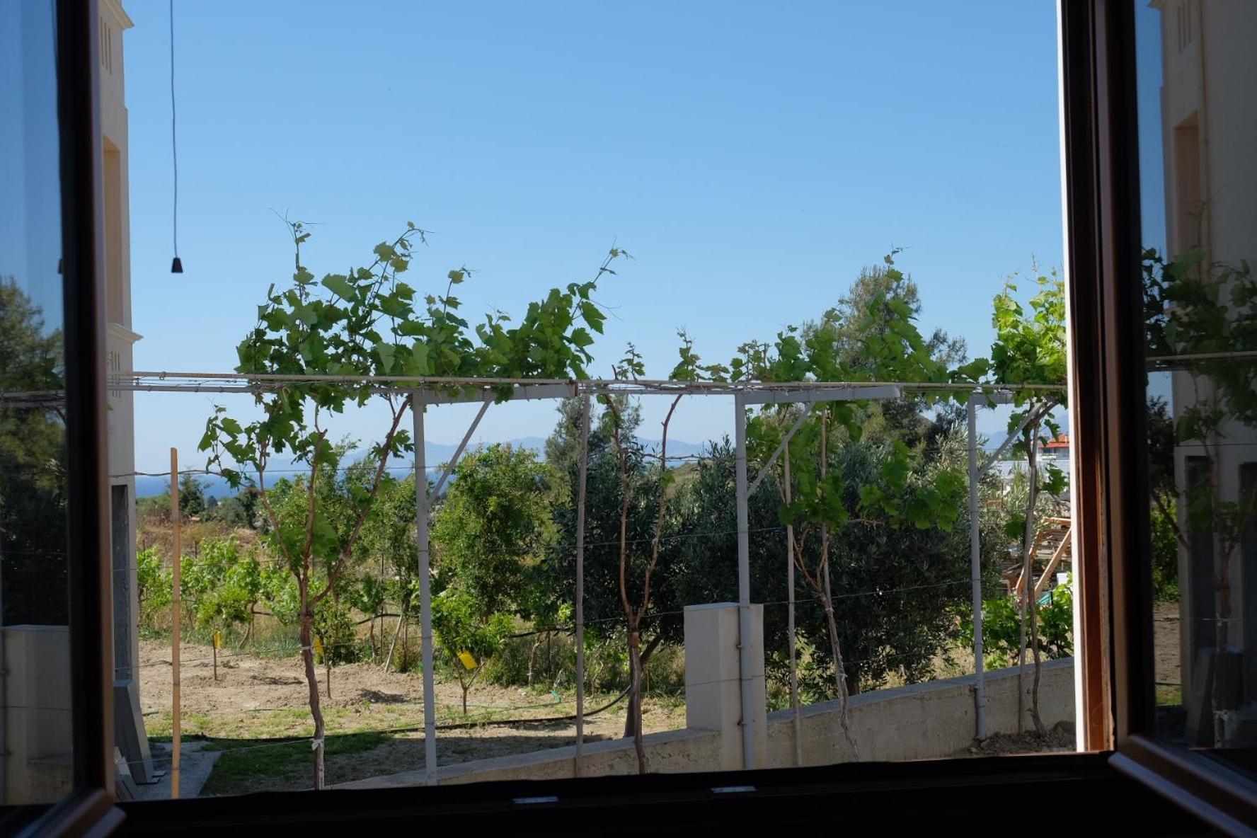 Garden House Daire Kremastí Dış mekan fotoğraf